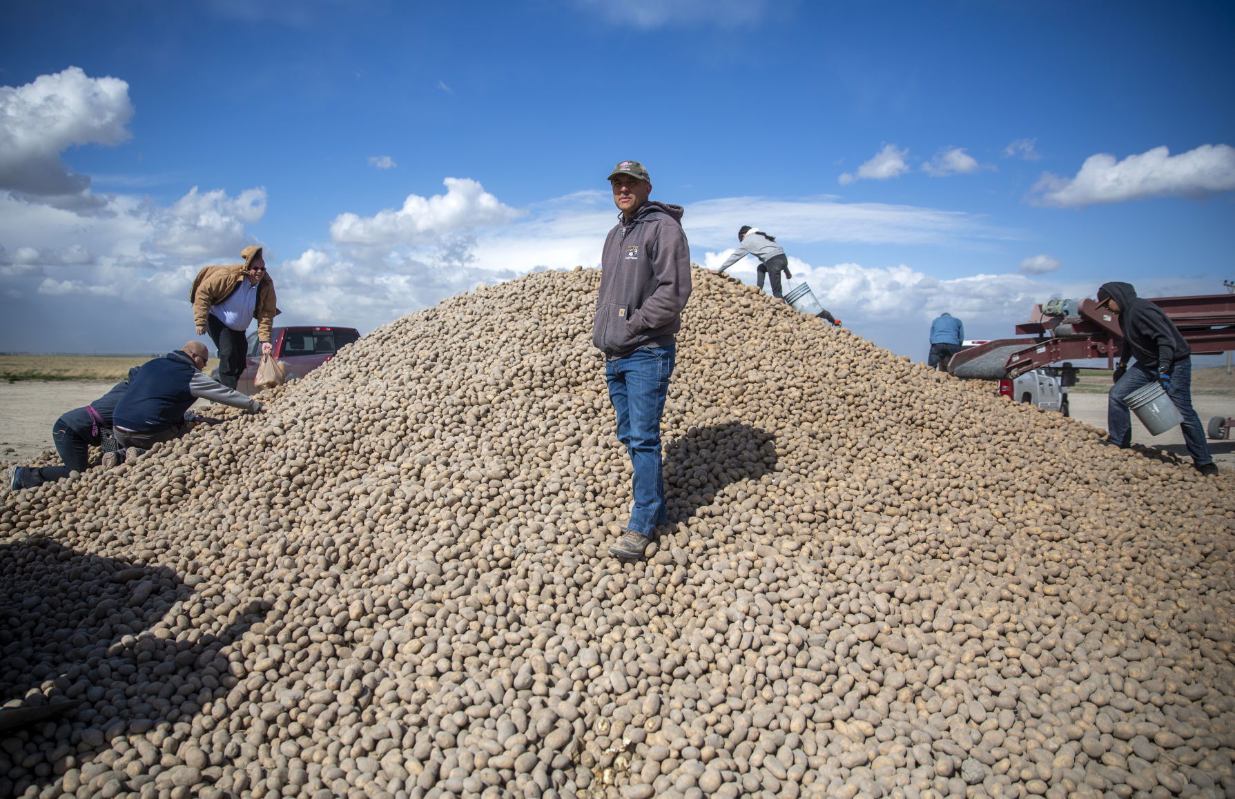 Potato farmers unable to sell all of their inventory